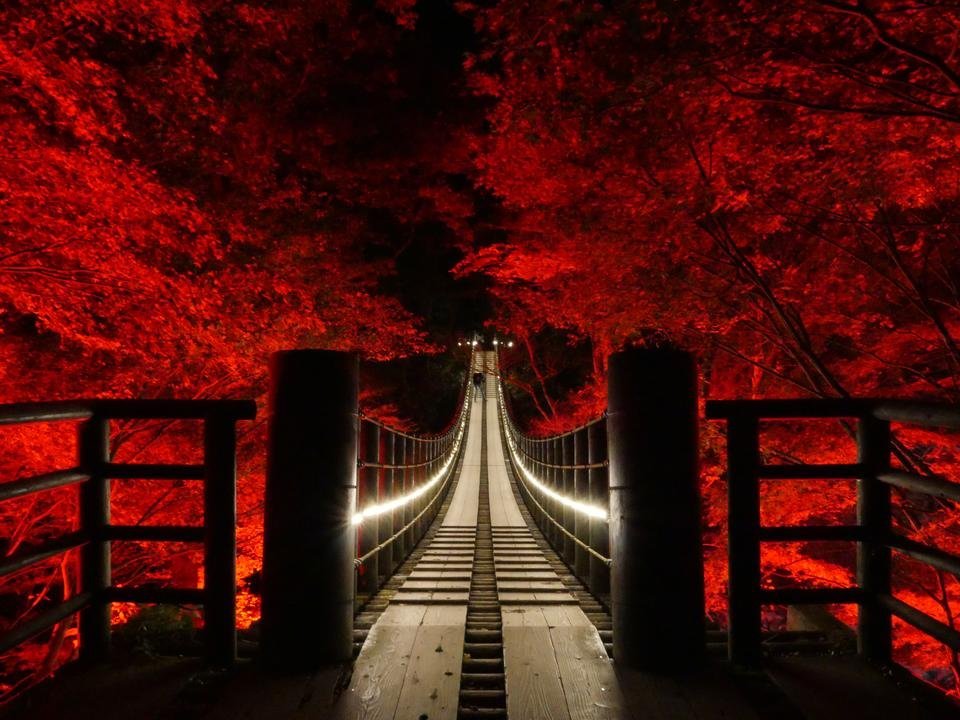 🍁 하나누키 계곡(하나누키케이코쿠) 이미지 9